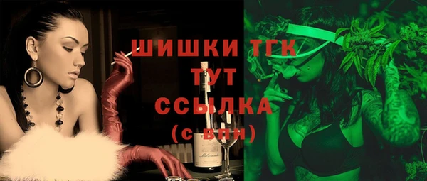 молекула духа Инсар