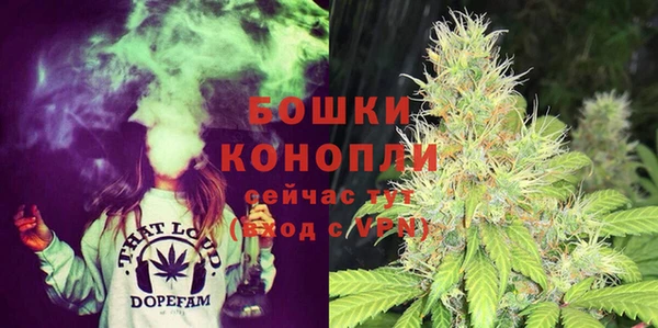 молекула духа Инсар