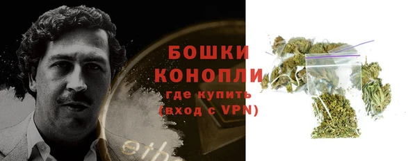 сатива Иннополис