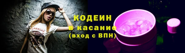 сатива Иннополис