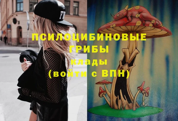 молекула духа Инсар