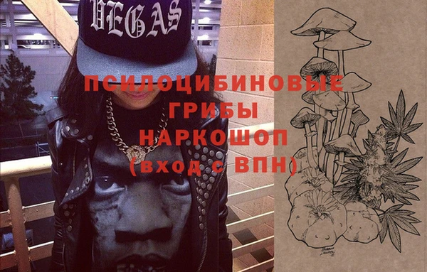 сатива Иннополис