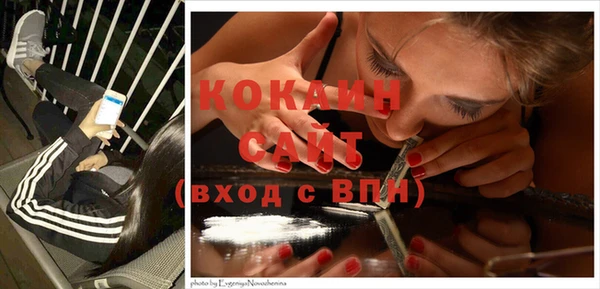 молекула духа Инсар