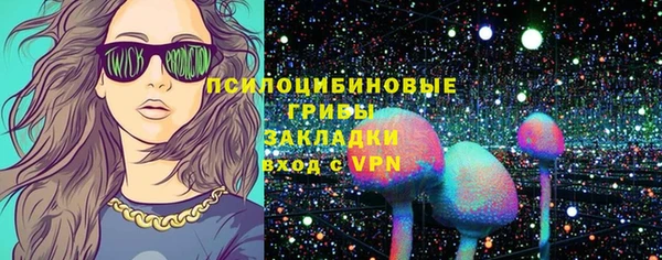 сатива Иннополис
